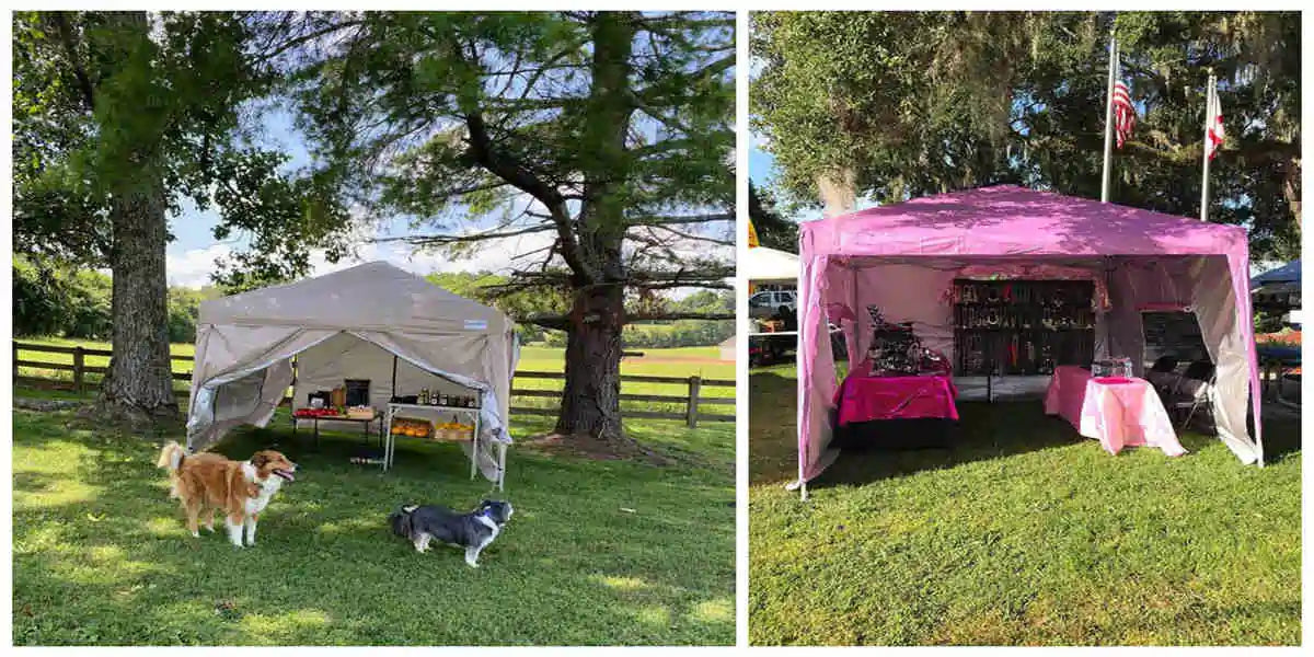 Quictent privacy canopy tent