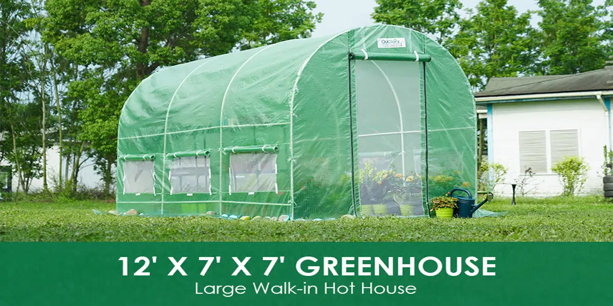 quictent tunnel greenhouse