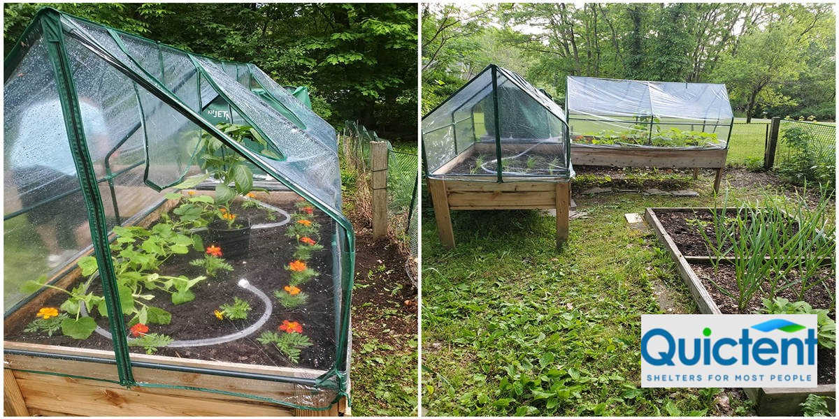 transparent mini greenhouse on a raised garden bed