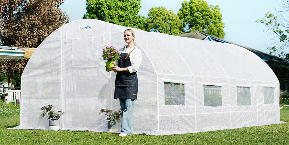 white-large-greenhouse