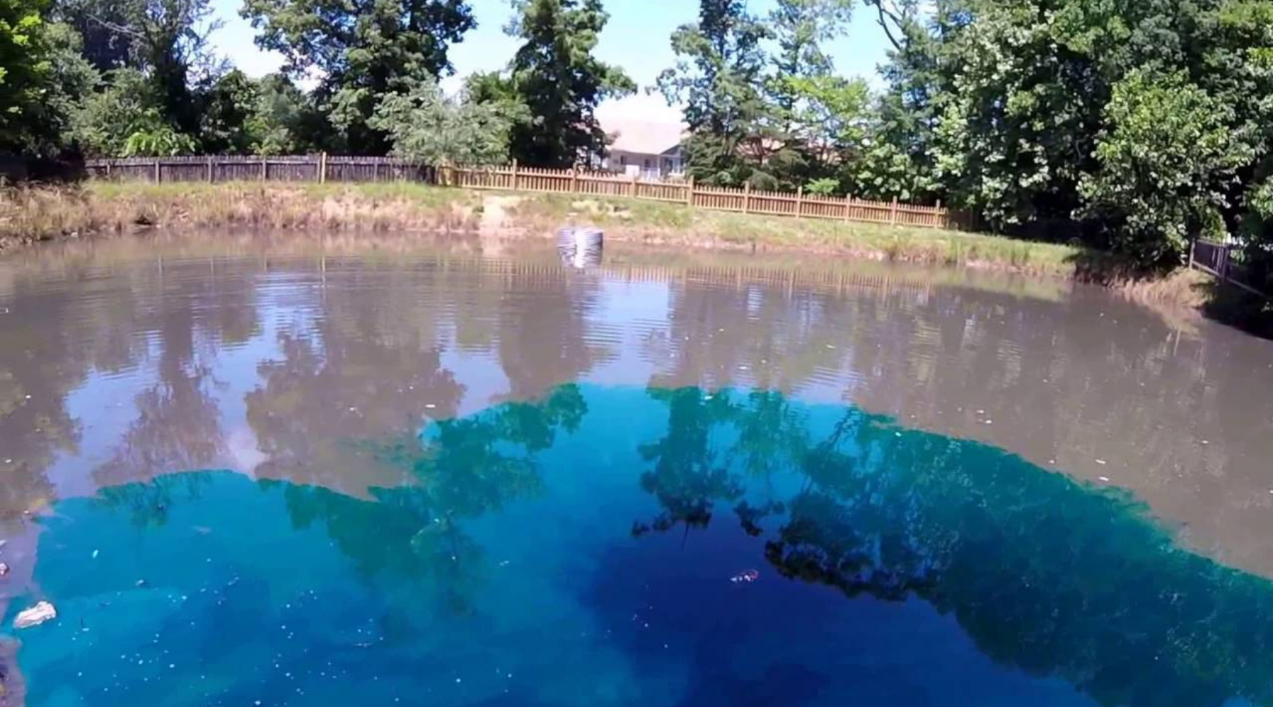 Pond Dye