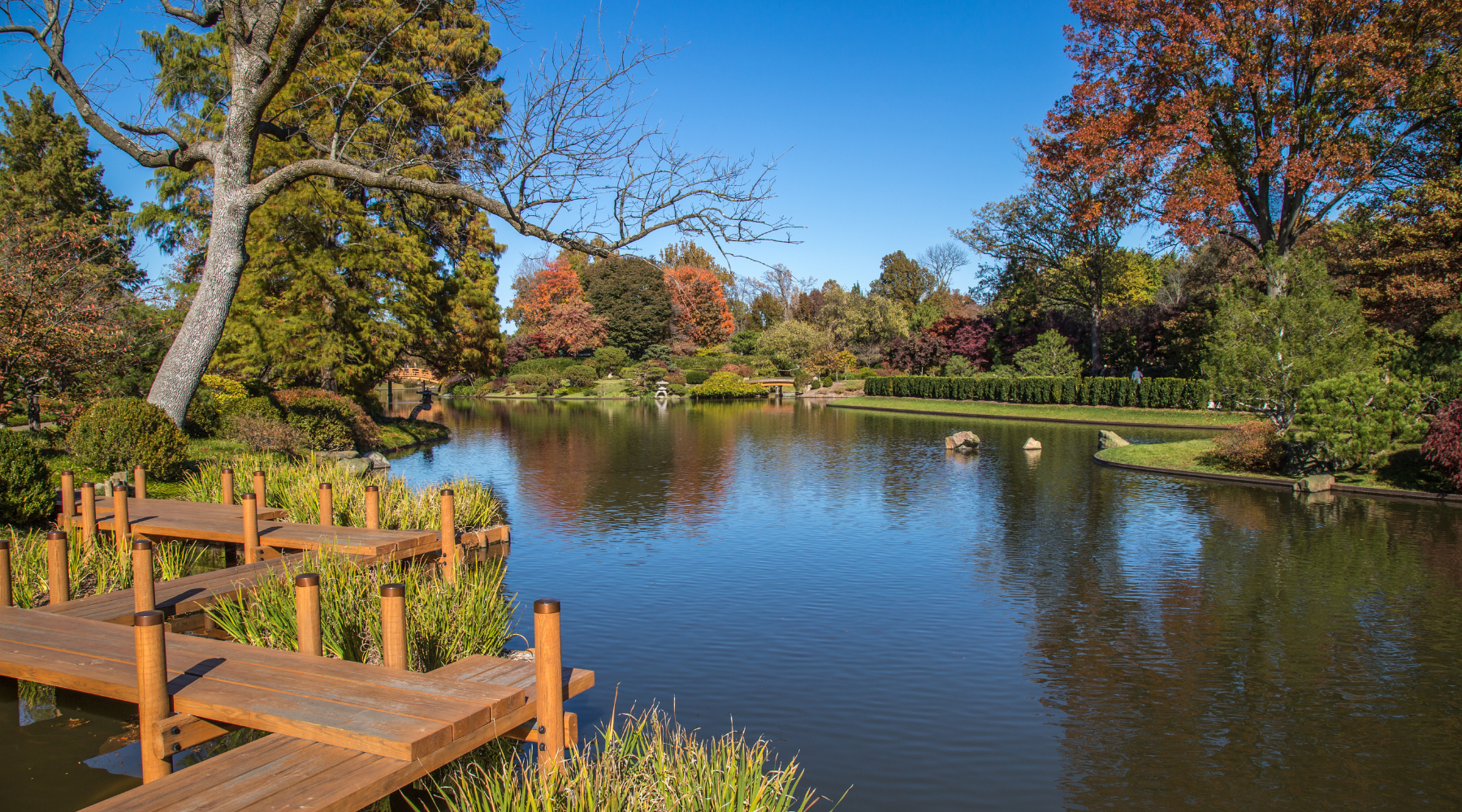 Beautiful Landscape Pond