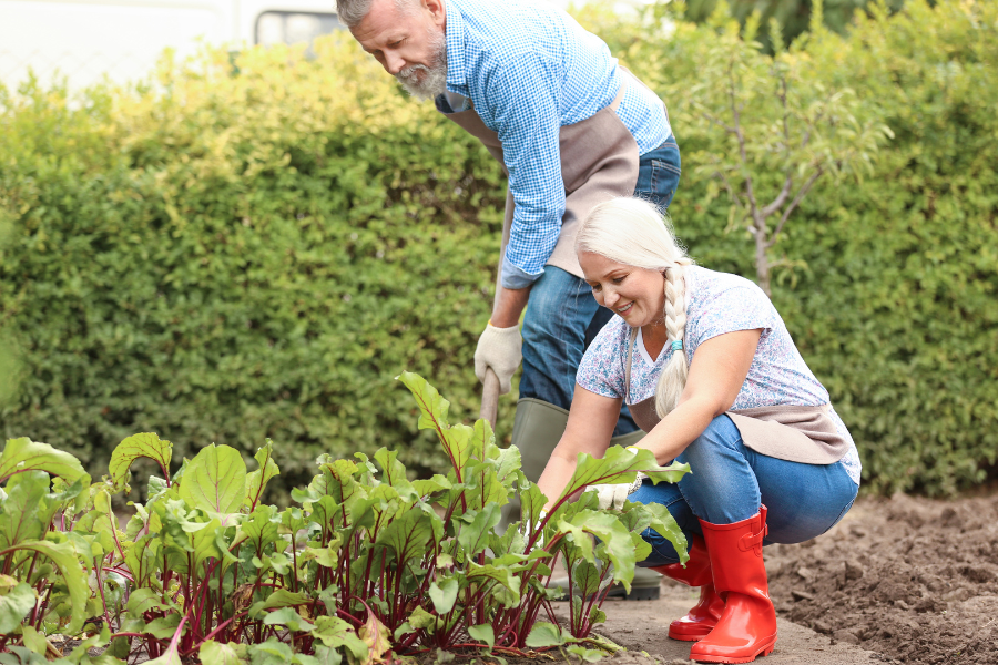 Gloves for Gardening