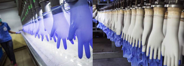 Biodegradable Gloves Manufacturing