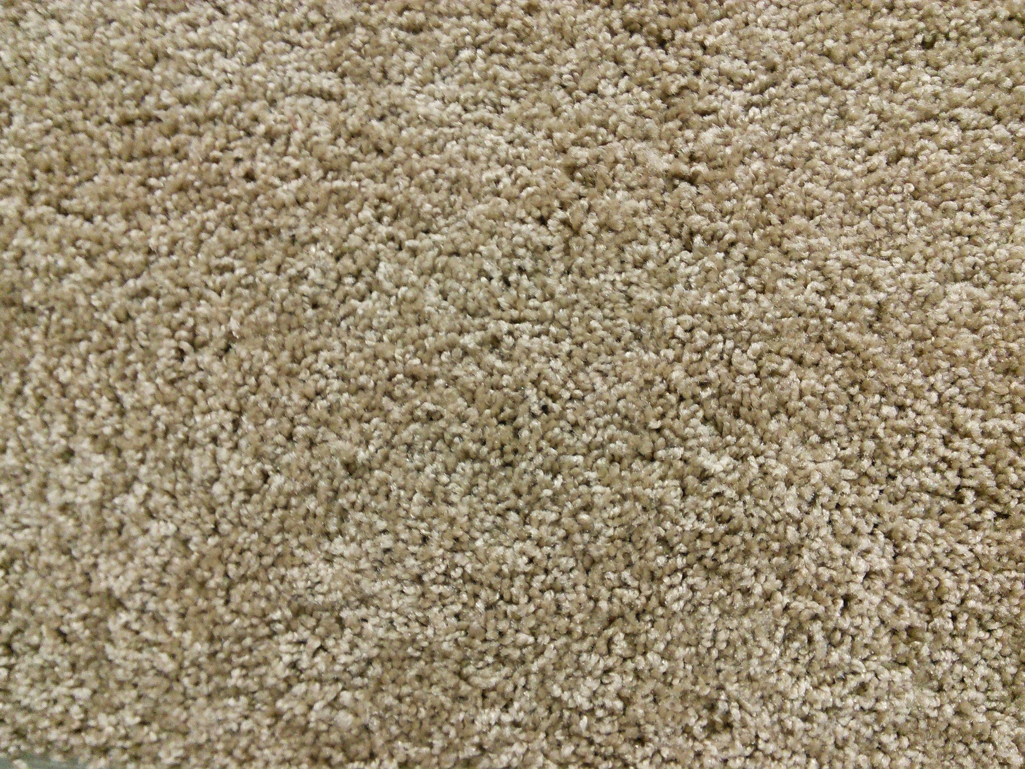 plush carpet