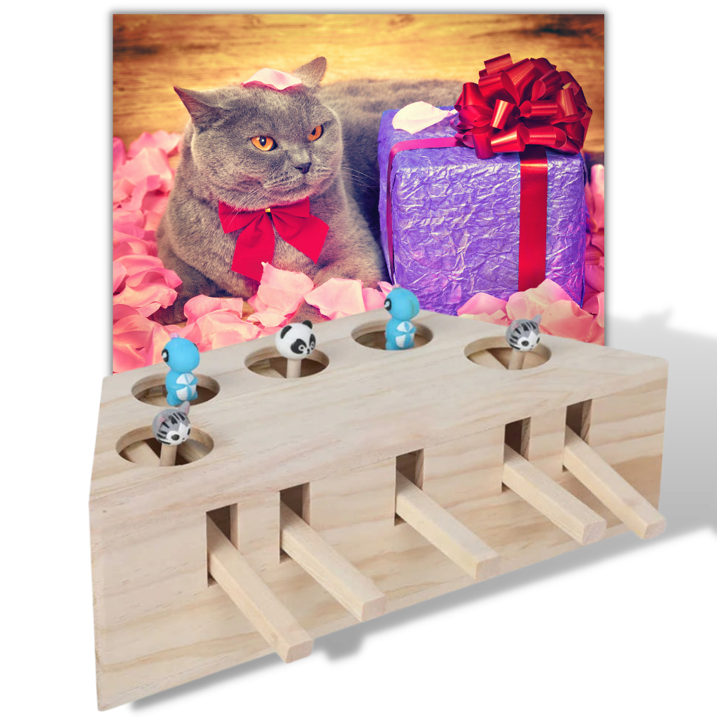 Giocattolo di legno interattivo per gatti con 5 buchi - Regalo ideale per gatti - Ozerty