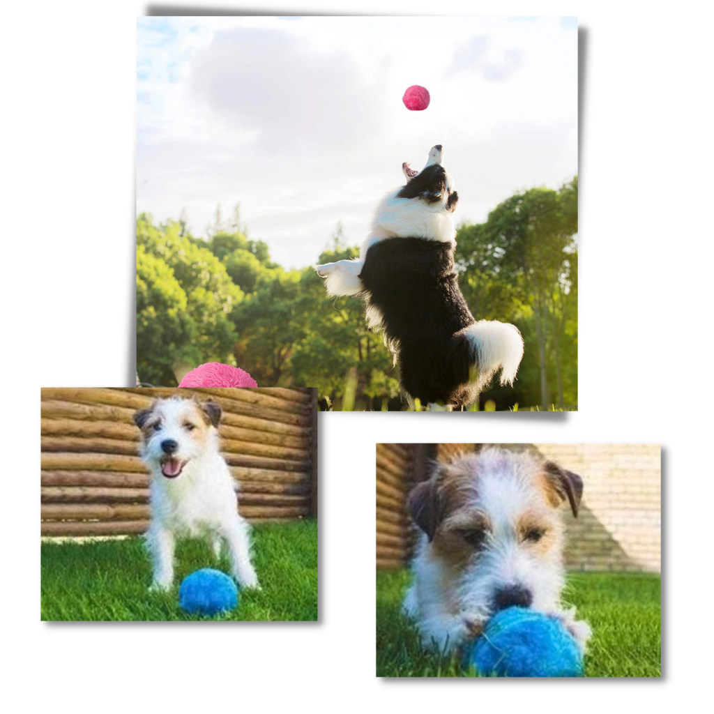 Balle rotative automatique pour chien avec 4 housses - Jouet de divertissement - Ozerty