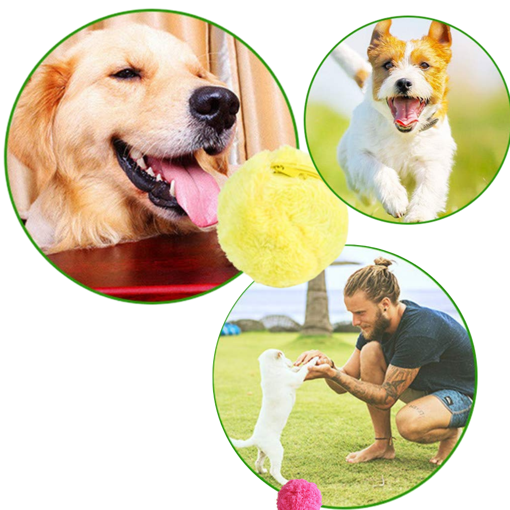 Pelota rodante automática para perro con tapas intercambiables - Mejora la salud del perro - Ozerty