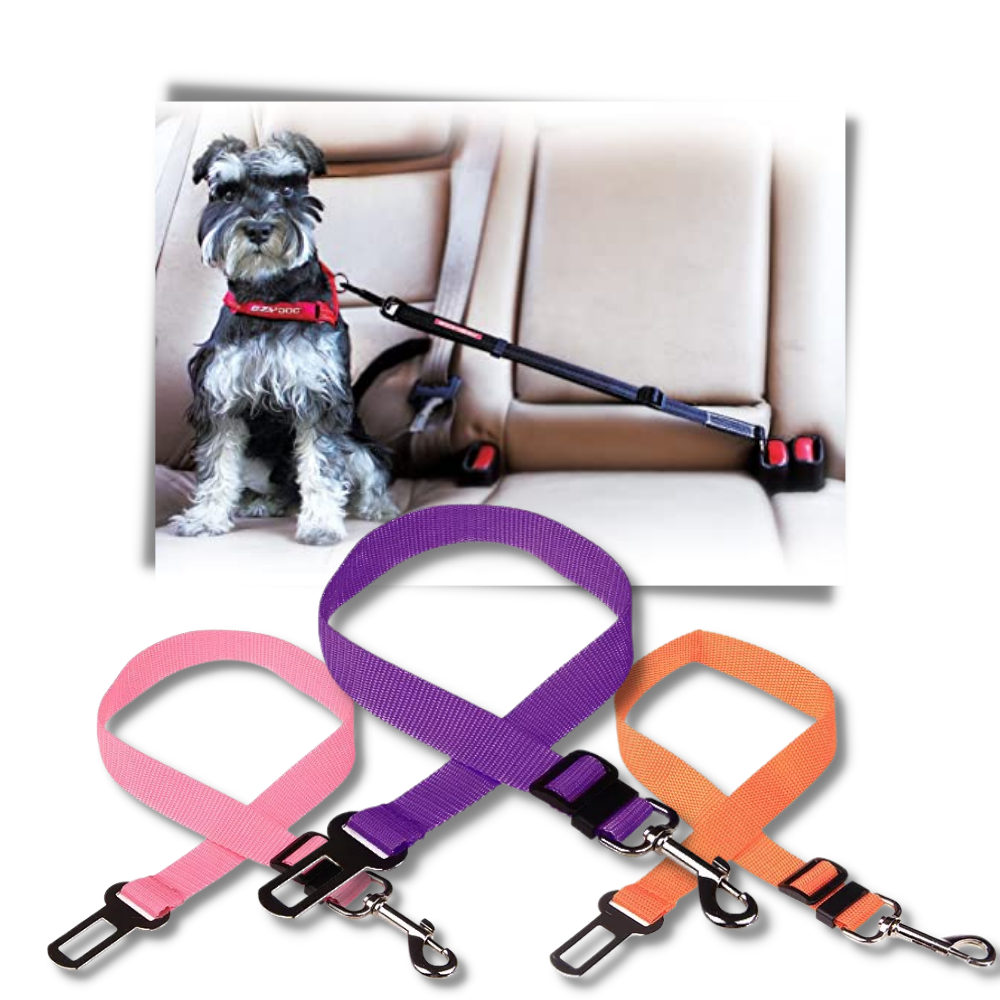 Dog safety belt for cars │ Dog Leash Vehicle Belt │ Pet safety belt - 