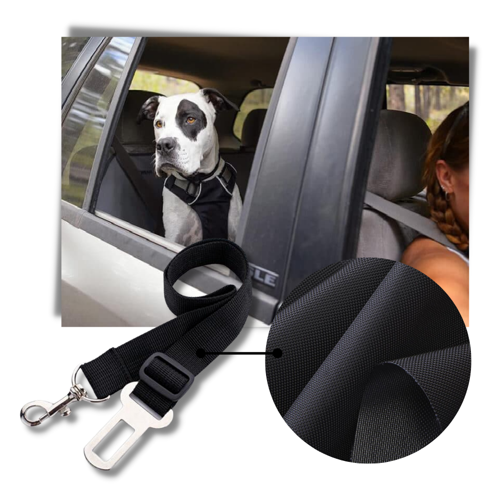 Säkerhetsbälte för hundar i bilar - Hållbart bilbälte - Ozerty