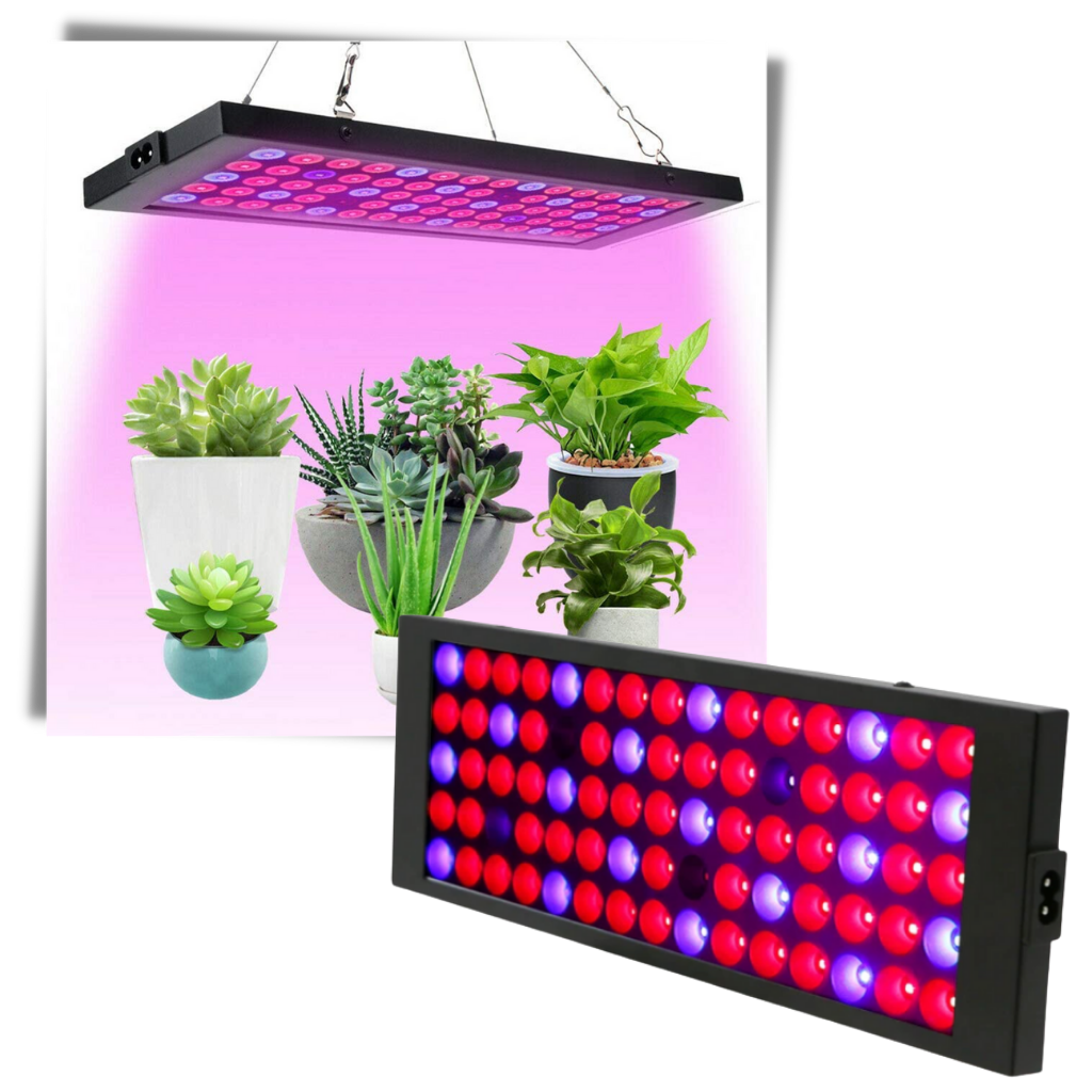 Lámpara de cultivo LED de espectro completo colgante 1500W Phyto Light Indoor Gardening - Ozayti