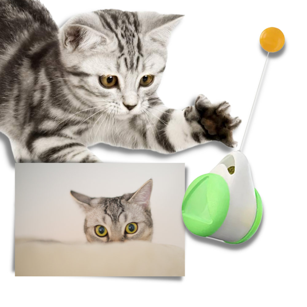 Interaktiv bolleksak för katter - Interaktiv boll - Ozerty