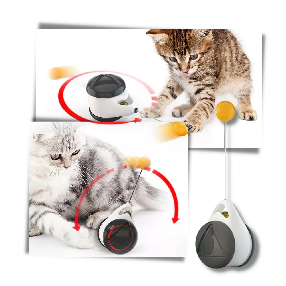 Interactive Ball Toy for Cats - Multiple Play Modes - Ozerty