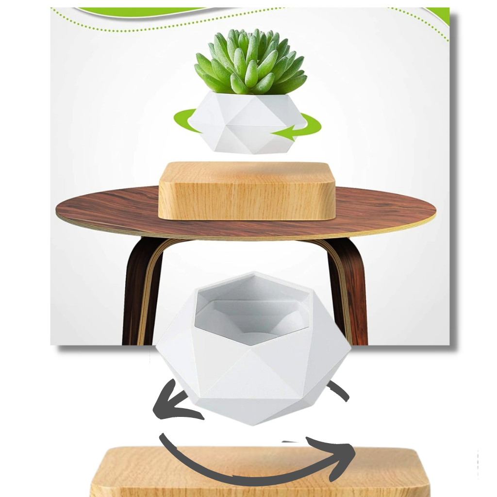 Levitating air pot plant - 360° plant rotation - Ozerty