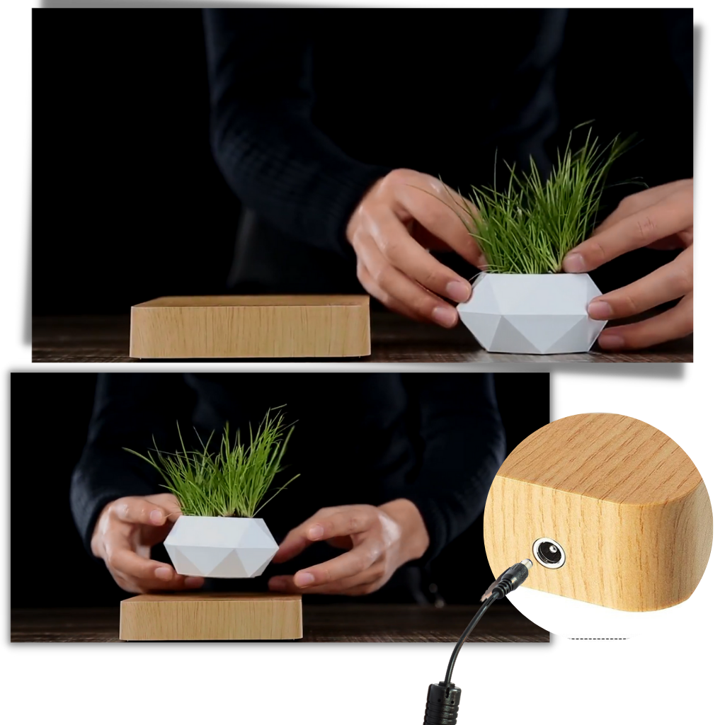 Levitating air pot plant - Easy to use - Ozerty