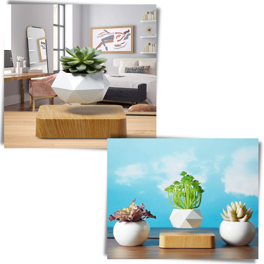 Levitating air pot plant - Unique design - Ozerty