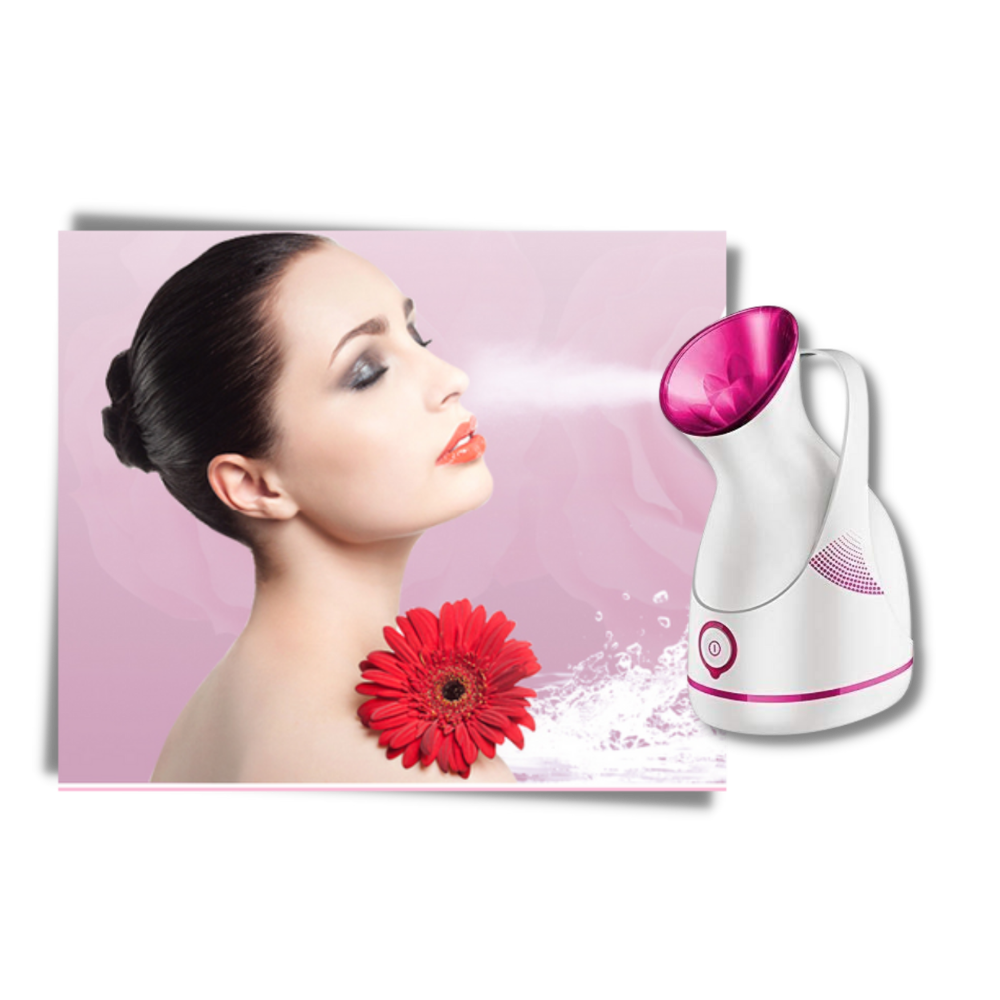 Portable face humidifier and sauna - Nano-ionic steam - 