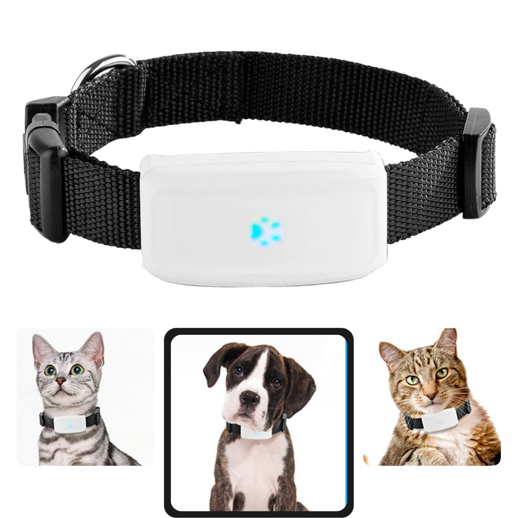 Collar de seguimiento GPS para mascotas | Rastreador de animales para perros y gatos | Localizador de mascotas - Ozayti