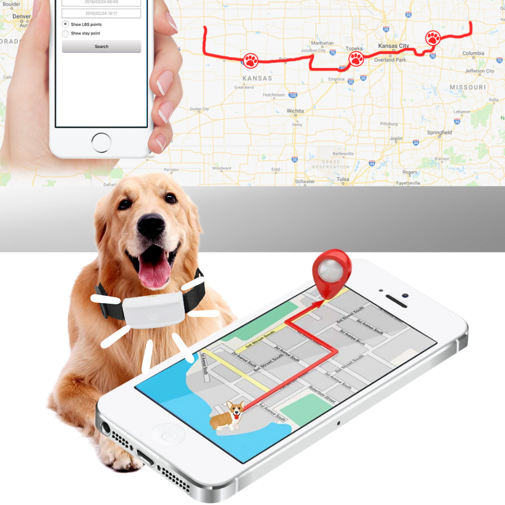 GPS Pet Tracking Collar - REAL TIME GPS POSITION - Ozerty