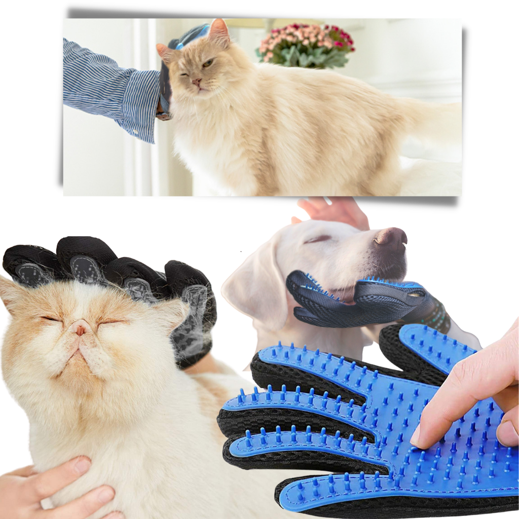 Pet Grooming Gloves (Pair) - Healthy massage  - Ozerty