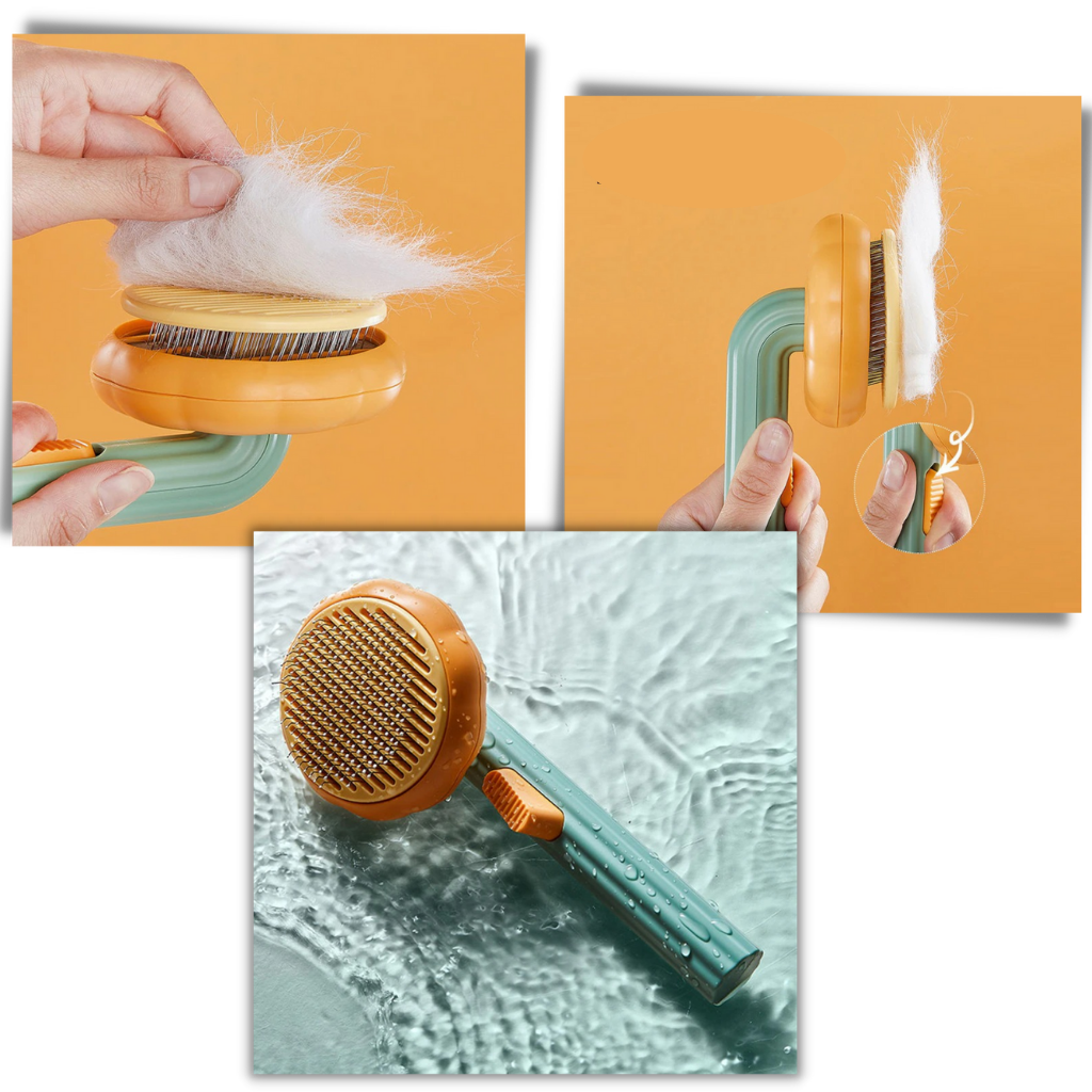 Self-cleaning pumpkin pet brush - Easy to clean - Ozerty