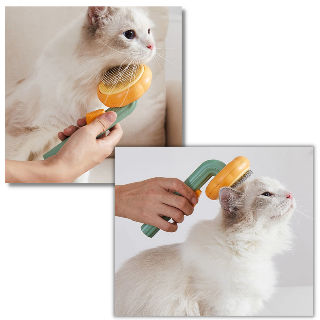 Self-cleaning pumpkin pet brush - Non-slip and compact - Ozerty