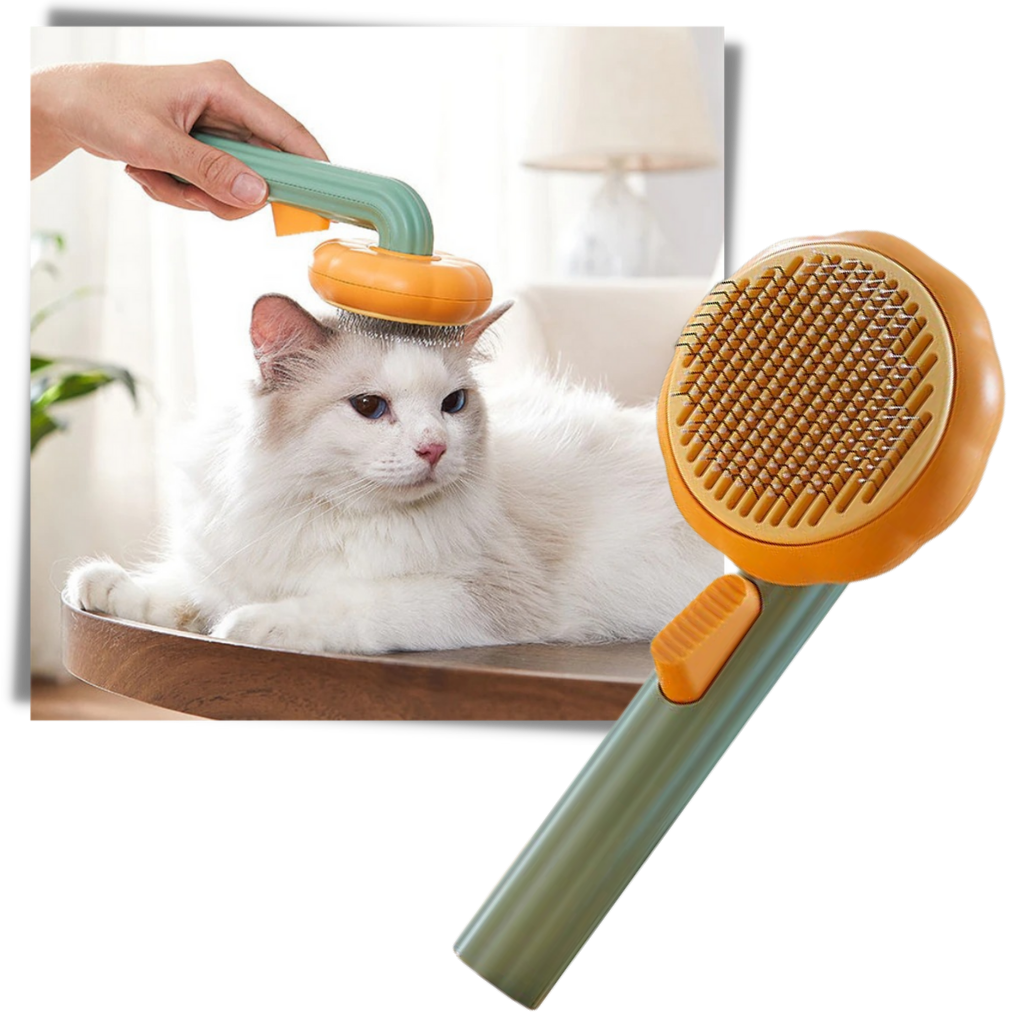 Self-cleaning pumpkin pet brush - Pet grooming brush - Ozerty