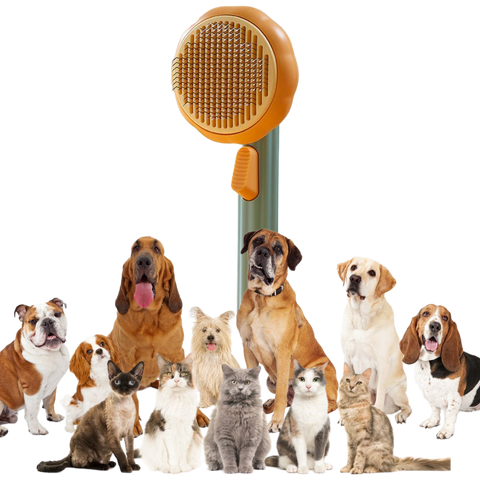 Self-cleaning pumpkin pet brush - Versatile uses - Ozerty