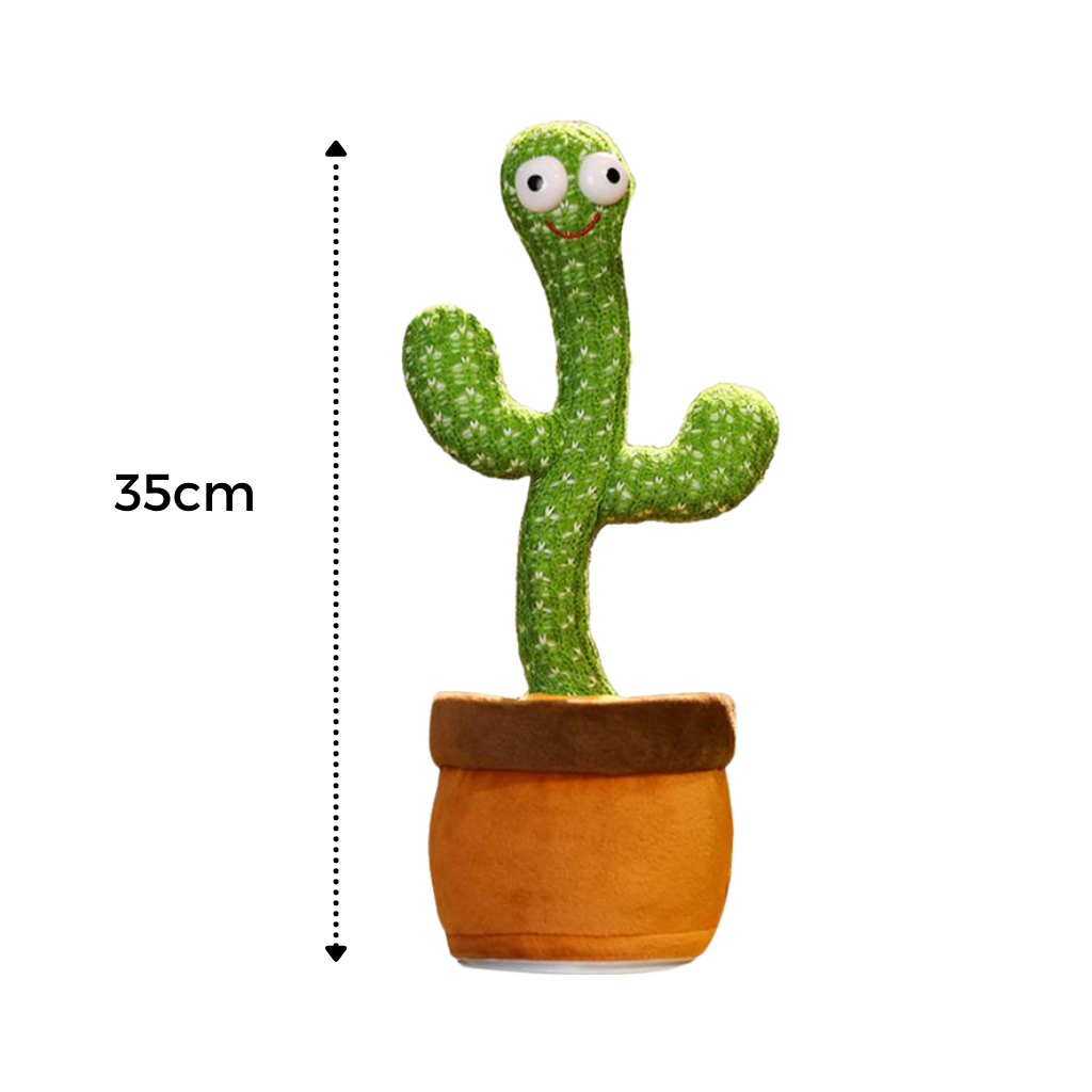 Pappagallo cactus parlante - Dimensions - Ozerty