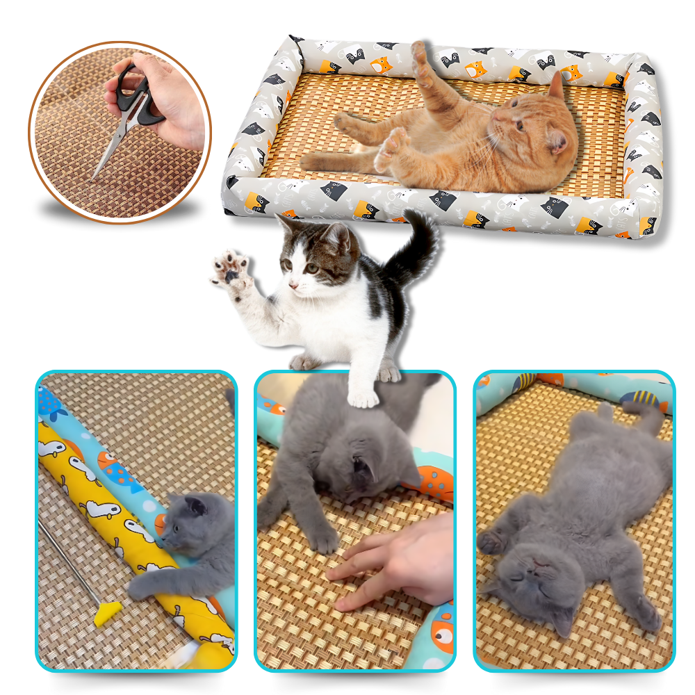 Anti-Slip Cooling Technology Pet Mat - Defend and Protect - Ozerty