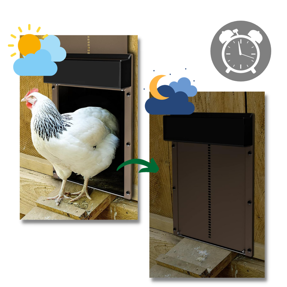 Automatic Chicken Coop Door - Automatic Operation, light-sensitive mechanism - Ozerty