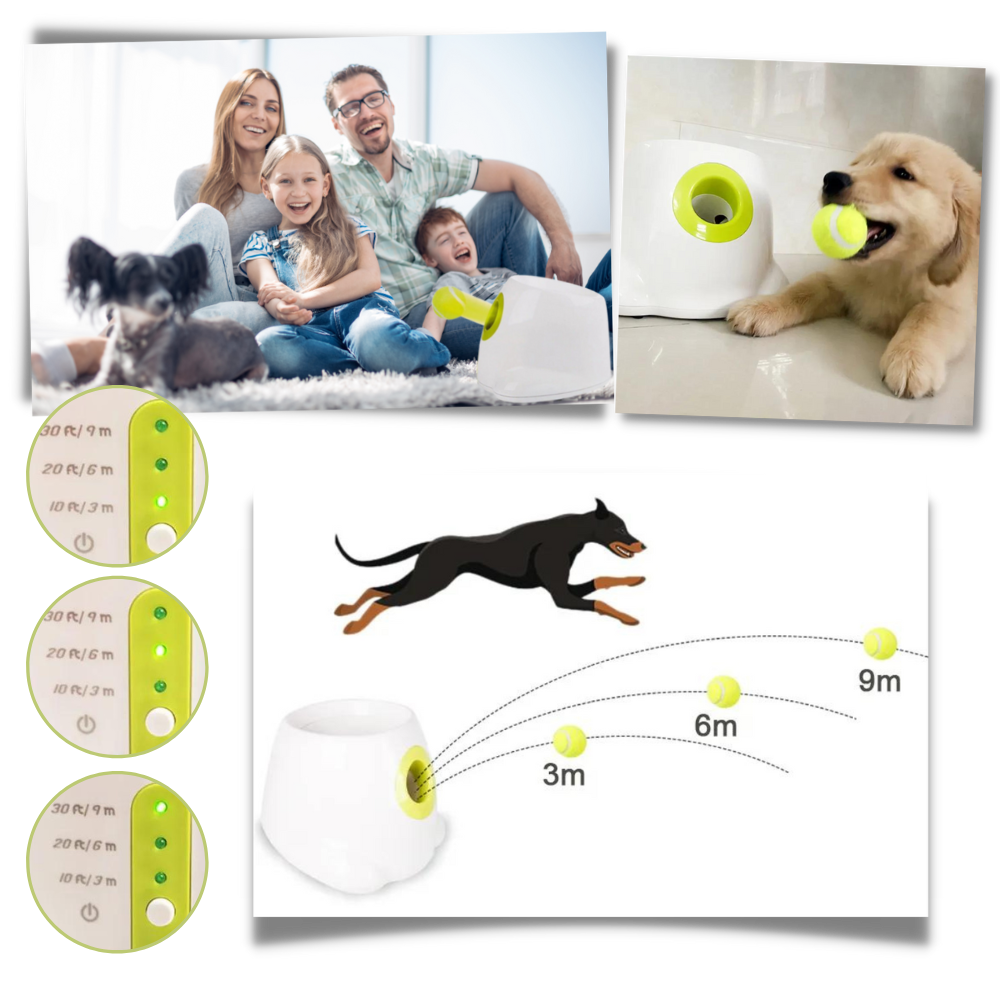 Lanciatore automatico di palline per cani - Delizia personalizzabile - Ozerty