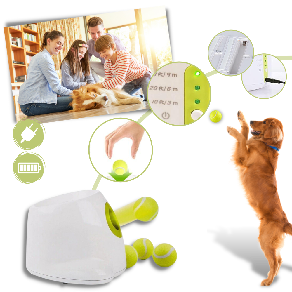 Lanceur de balles automatique  pour chiens - Deux modes d'alimentation pratiques - Ouistiprix