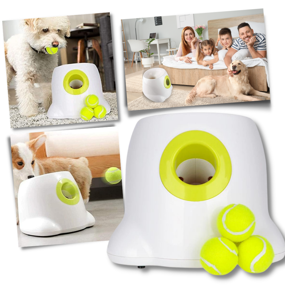 Lanceur de balles automatique  pour chiens - Ouistiprix