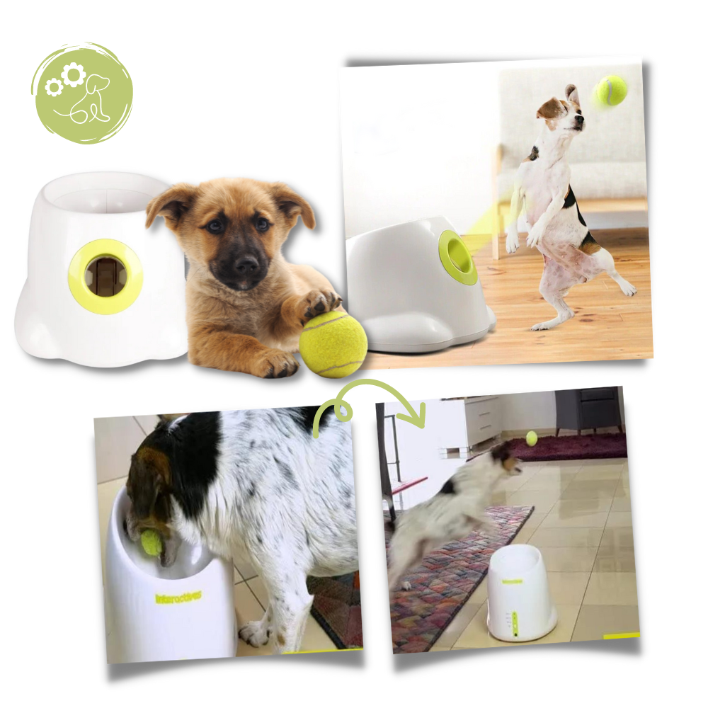 Automatic Dog Ball Launcher - A New Wave of Play - Ozerty