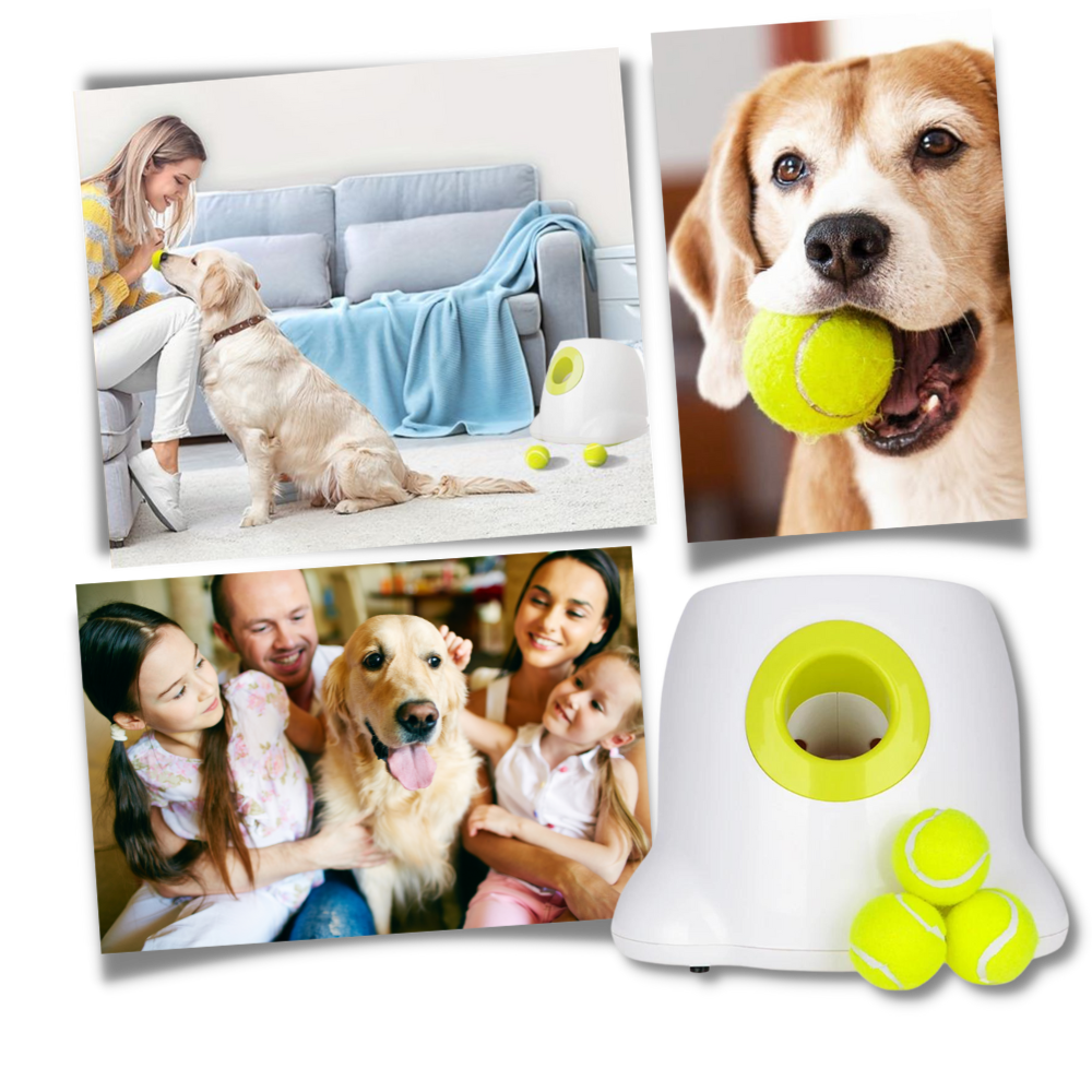 Lanciatore automatico di palline per cani - La semplicità incontra l'innovazione - Ozerty