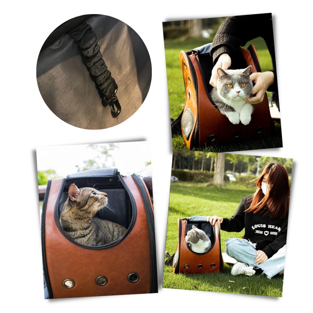 Zaino da viaggio per gatti - Avventure sicure e protette - Ozerty
