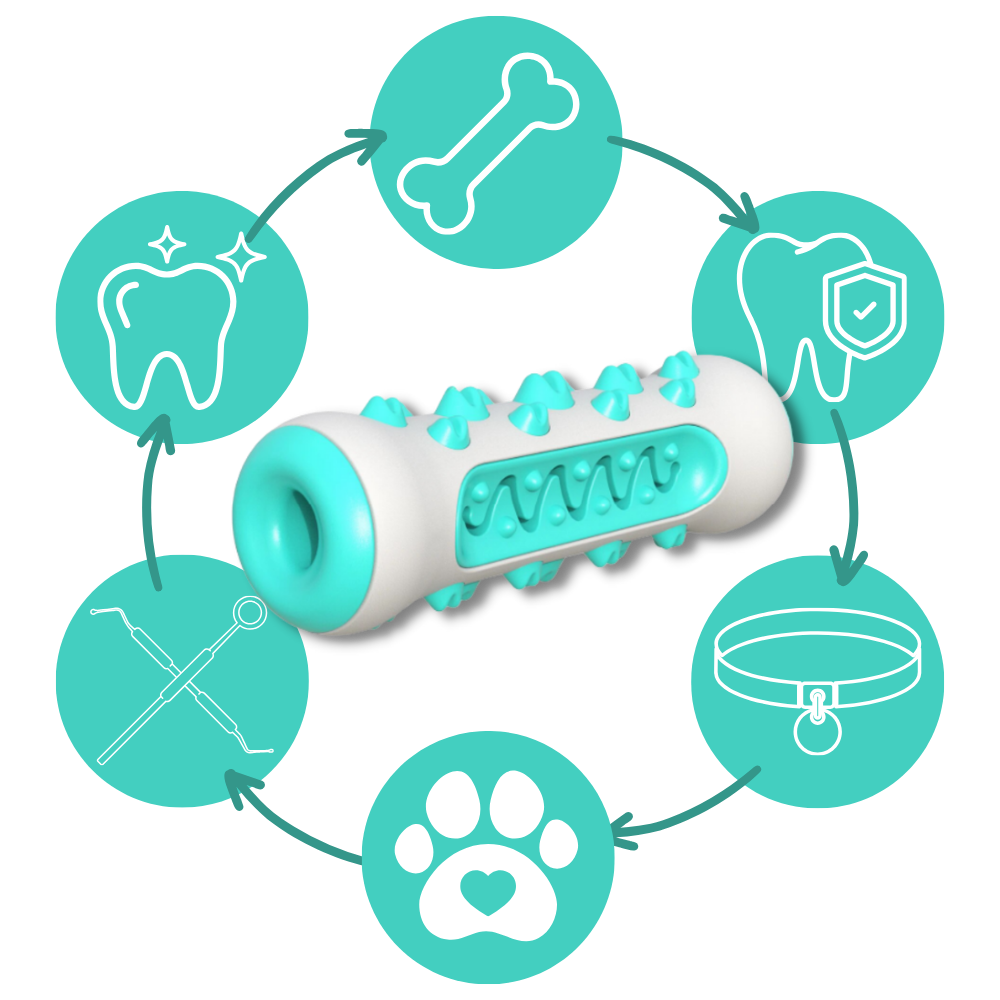 Dental Care Chew Toy for Dogs -  Cost-Effective Oral Care - Ozerty