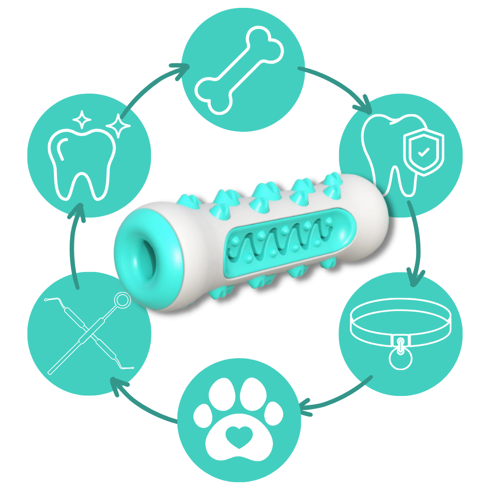 Giocattolo da masticare per la cura dei denti per cani - Cura del cavo orale a costi contenuti - Ozerty