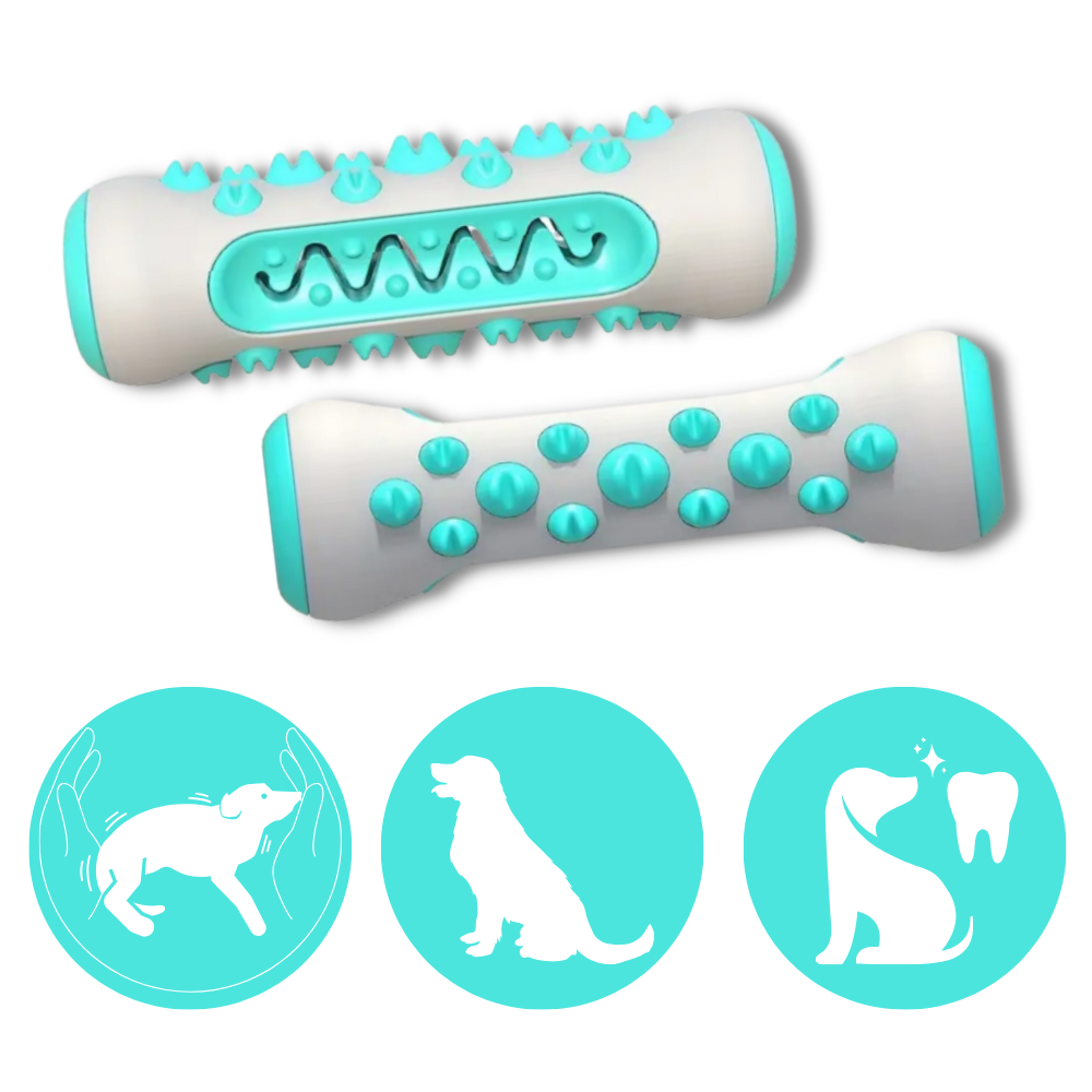 Tuggleksak med tandvård för hundar - Utformning för dubbla ändamål - Ozerty