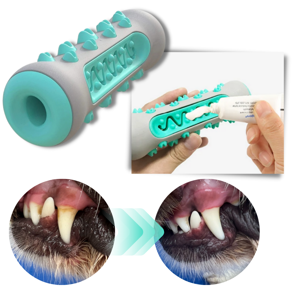 Tuggleksak med tandvård för hundar - Mästerskap i förebyggande av infektioner - Ozerty