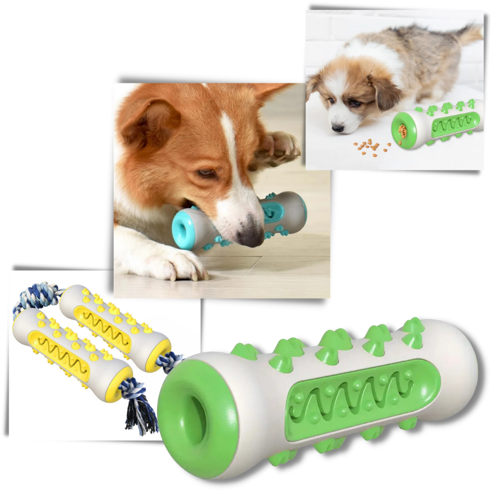 Dental Care Chew Toy for Dogs -  Suitable for Every Life Stage - Ozerty