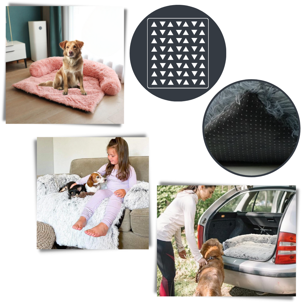 Protège-meubles apaisant pour chiens

 - Stabilité et sécurité assurées

 - Ozerty