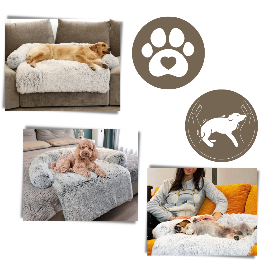 Protège-meubles apaisant pour chiens

 - Pas de désordre, pas de stress

 - Ozerty