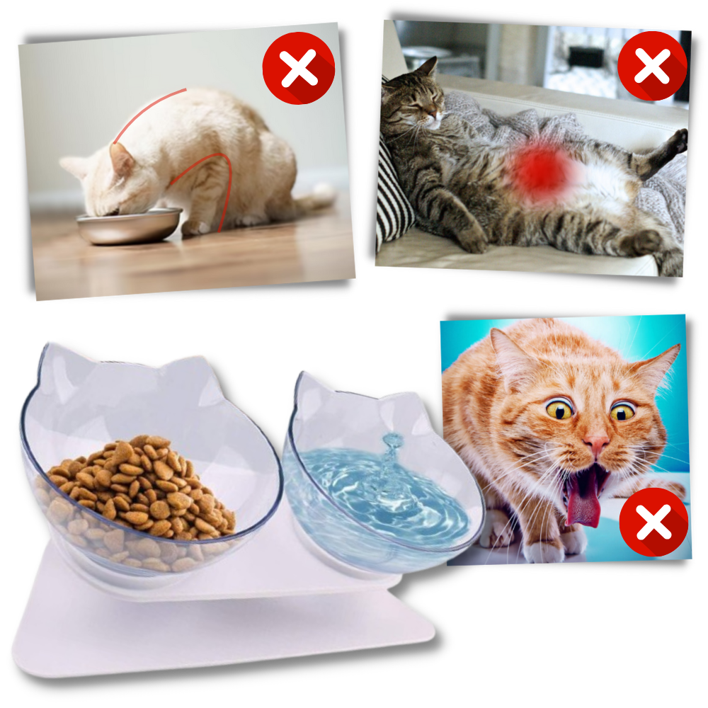 Bol confort surélevé pour chats - Une alimentation ergonomique pour des chats en meilleure santé

 - Ozerty
