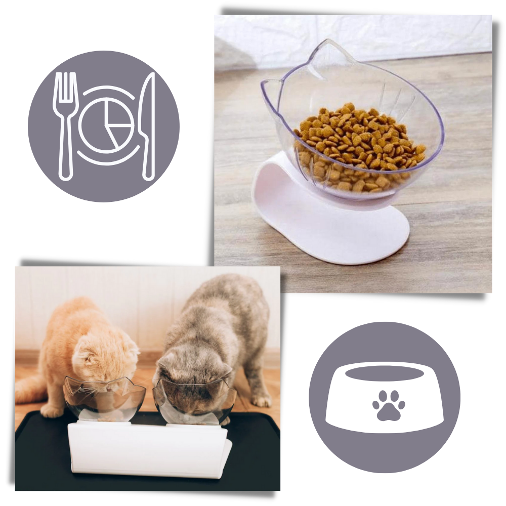 Elevated Comfort Bowl for Cats - Better Portion Control - Ozerty