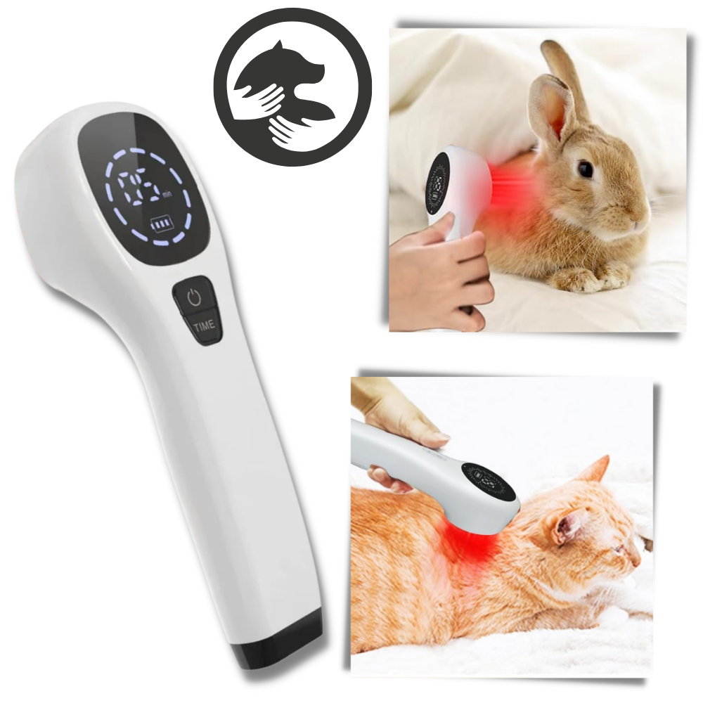 Appareil portatif de thérapie par infrarouge pour animaux de compagnie

 - Confort non invasif

 - Ozerty