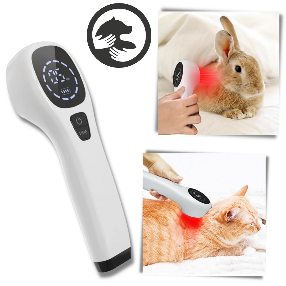 Handheld Infrared Therapy Device for Pet - Non-Invasive Comfort - Ozerty