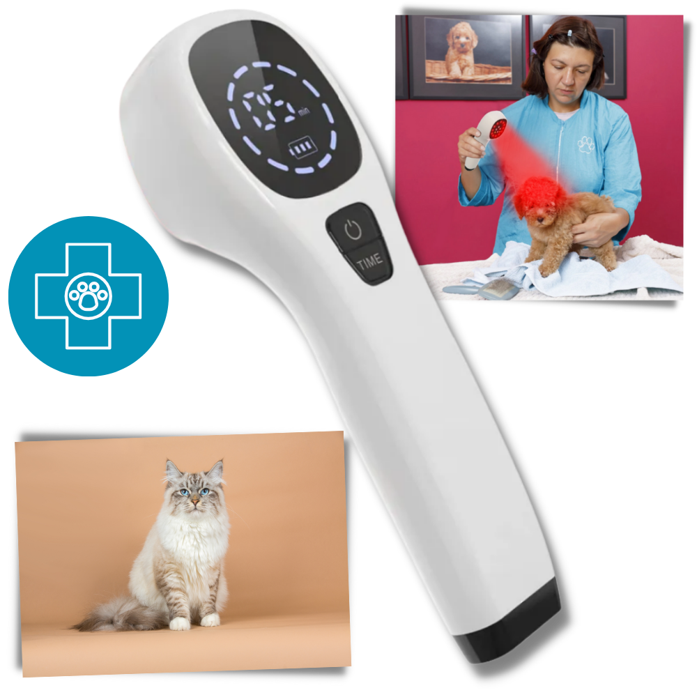 Handheld Infrared Therapy Device for Pet - Promoting Healing and Mobility - Ozerty