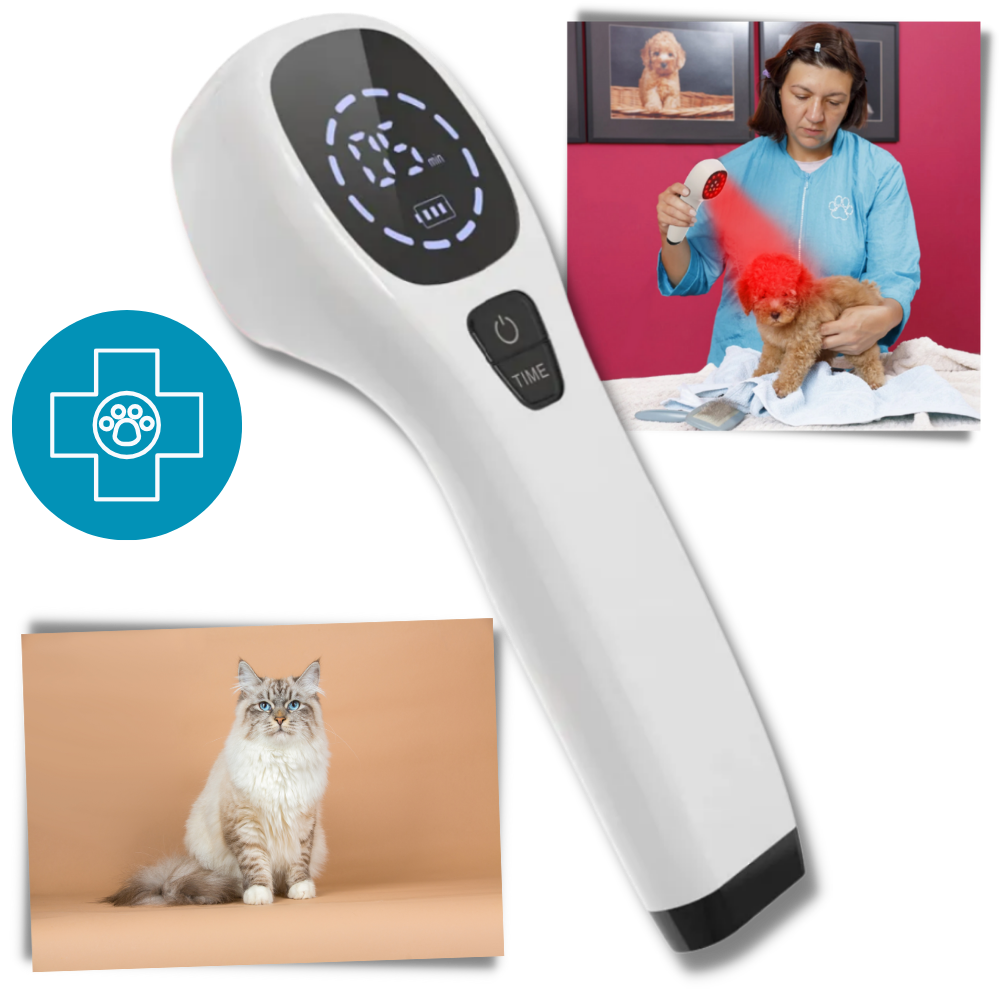 Appareil portatif de thérapie par infrarouge pour animaux de compagnie

 - Favoriser la guérison et la mobilité

 - Ozerty
